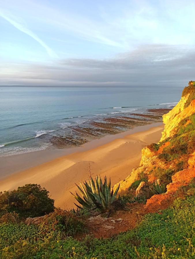 Summer is Back Lagos Exterior foto